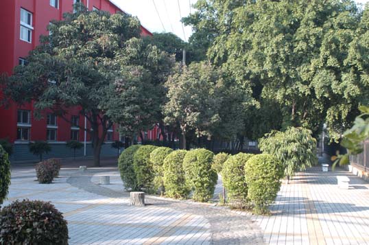 金江校区旧貌换新颜(之一）